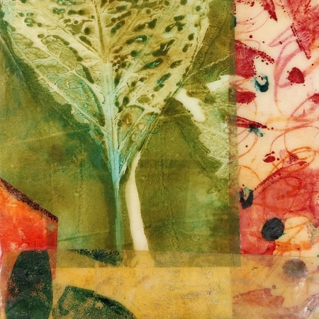 Garden Series 6