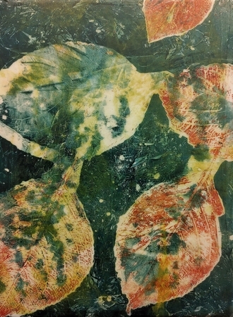 Hydrangea Leaf 1