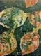 Hydrangea Leaf 1