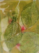 Hydrangea Leaf 2