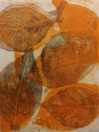 Hydrangea Leaf  3