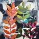 Urban Renewal 5