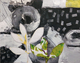 Urban Renewal 2