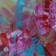 Water Lilies